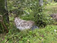 IMG_9779 (1024x768).jpg